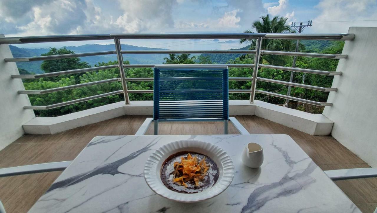 タガイタイ The Nest, Tagaytay Bed & Breakfast エクステリア 写真
